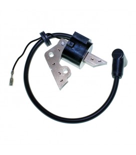 Магнето (катушка зажигания) для Robin Subaru EY20/EY20-3D